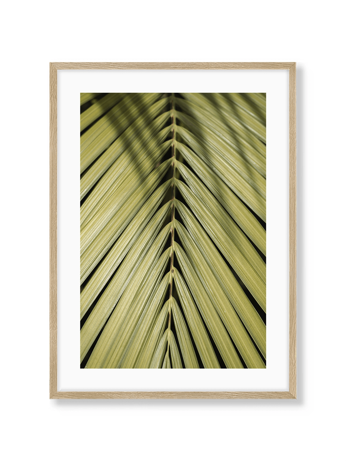 Tropical Green - Lámina de Henrike Schenk - Decora tu casa en Nomadart