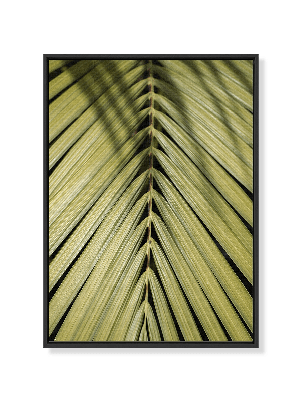 Tropical Green - Lámina de Henrike Schenk - Decora tu casa en Nomadart