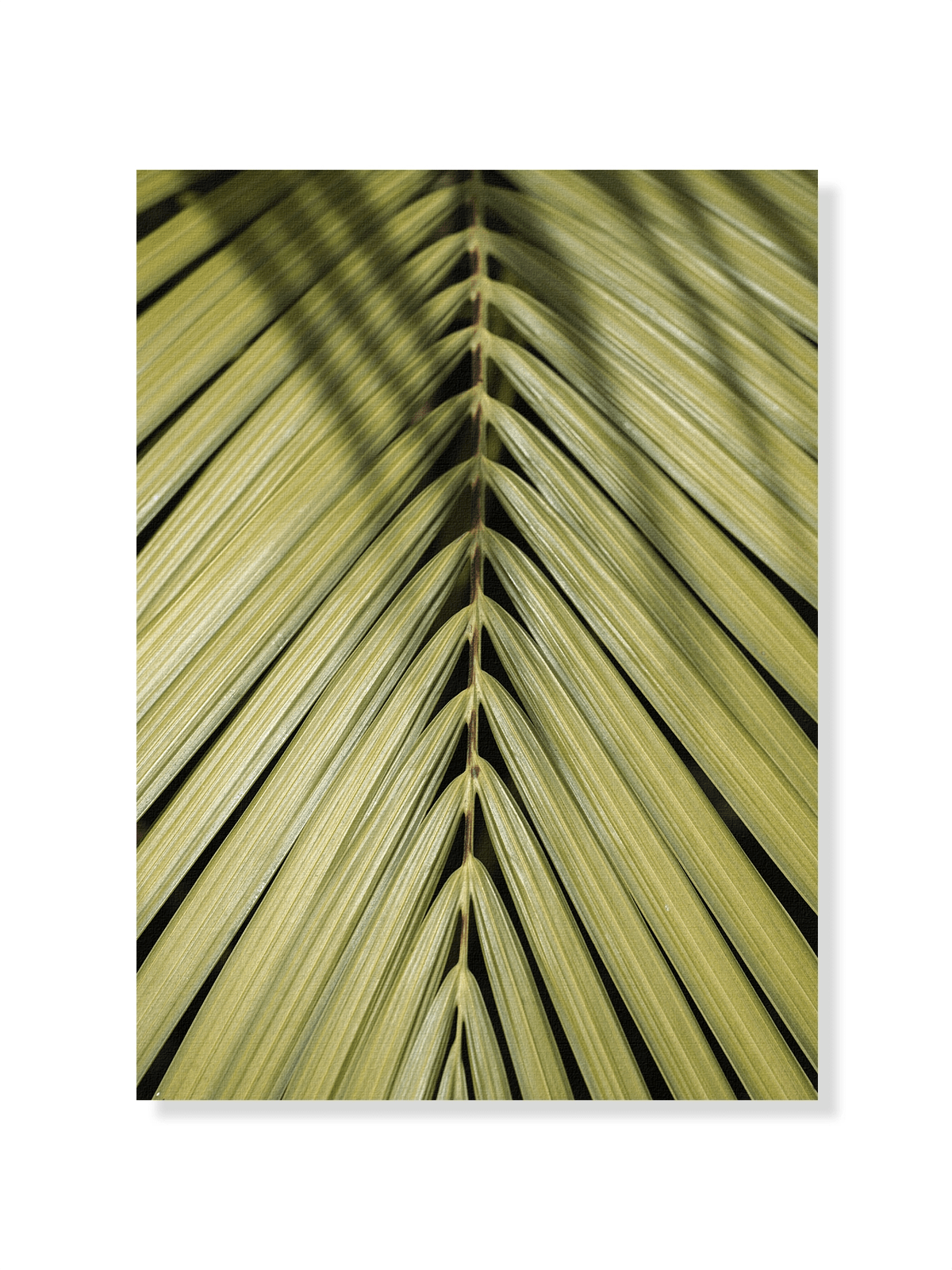 Tropical Green - Lámina de Henrike Schenk - Decora tu casa en Nomadart