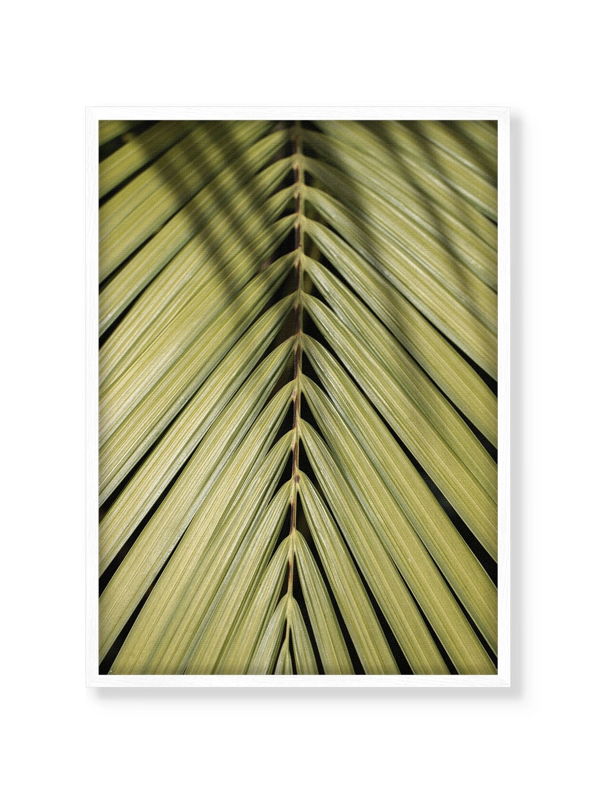 Tropical Green - Lámina de Henrike Schenk - Decora tu casa en Nomadart