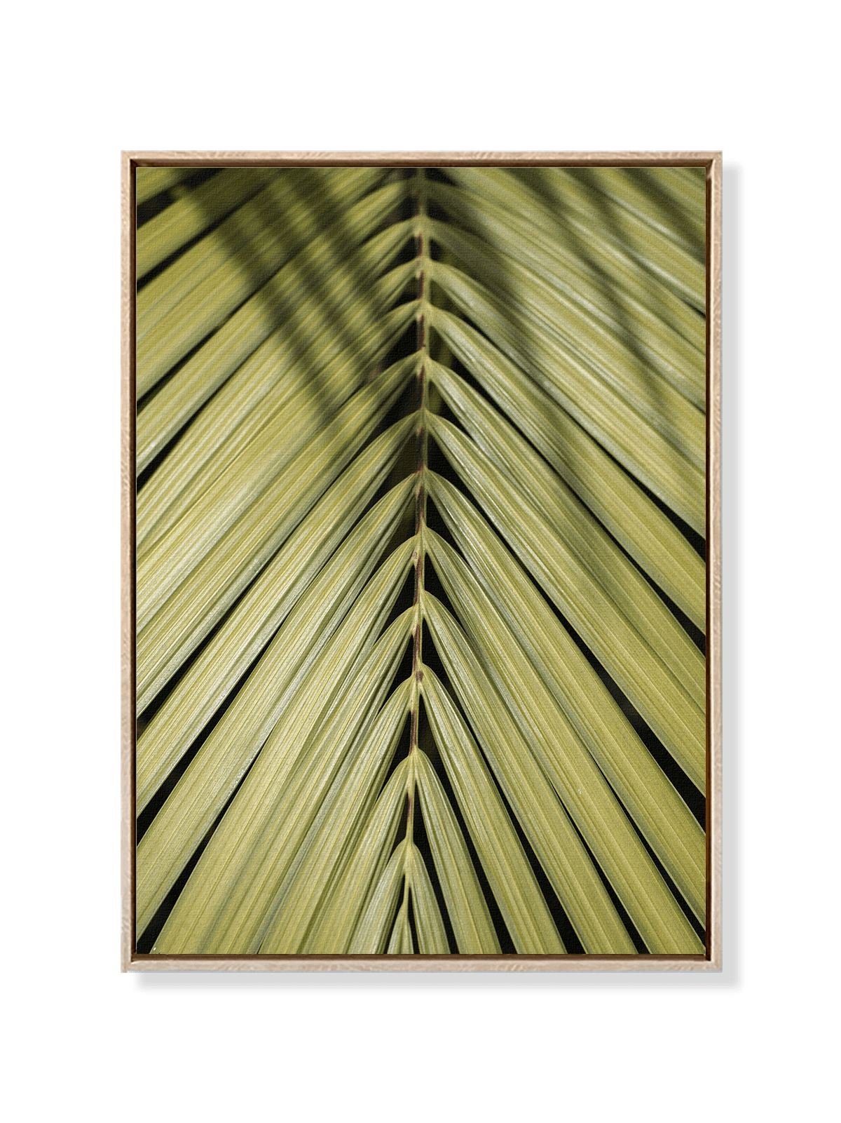 Tropical Green - Lámina de Henrike Schenk - Decora tu casa en Nomadart