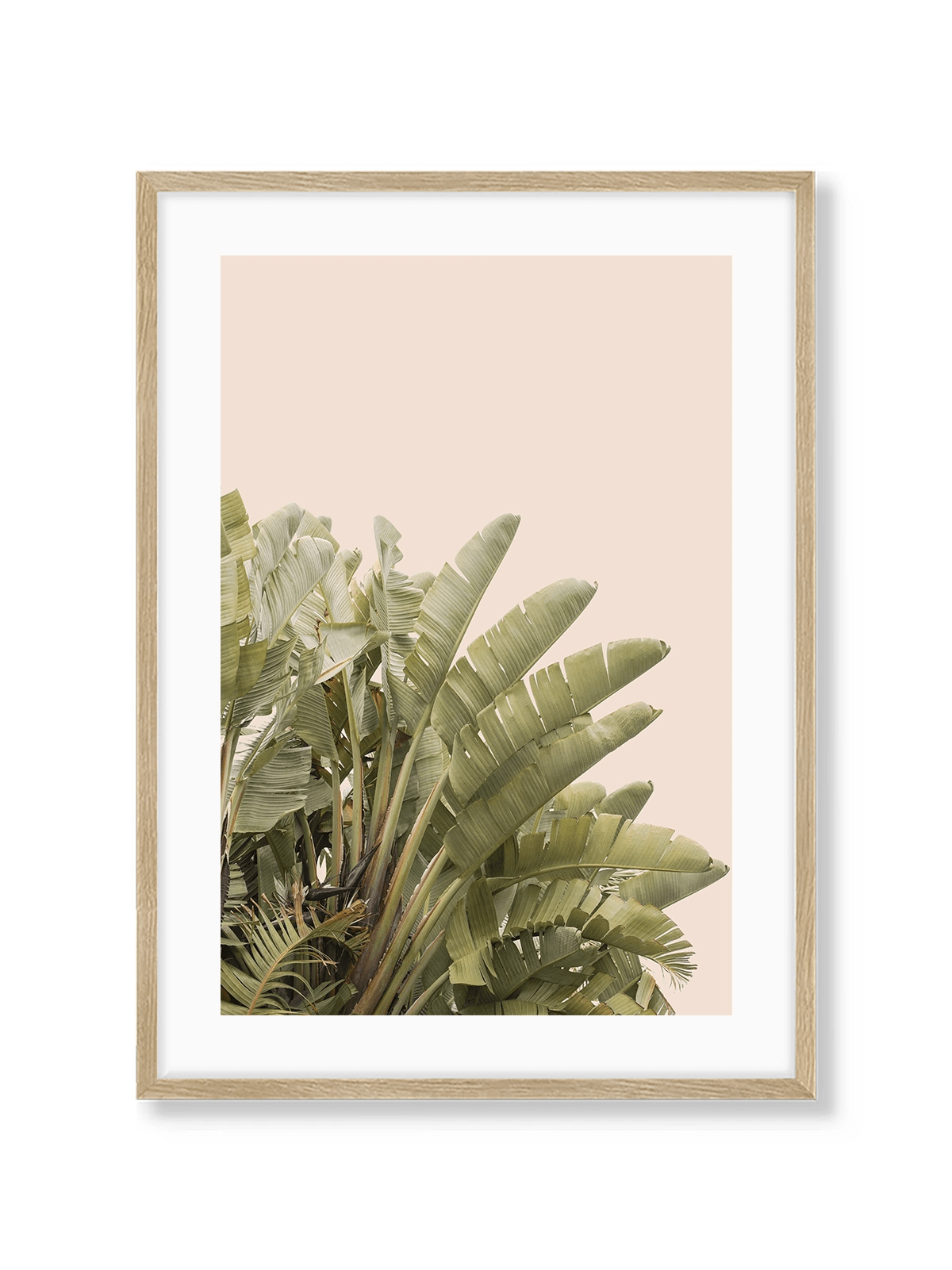 Tropical Leaves - Lámina de Henrike Schenk - Decora tu casa en Nomadart