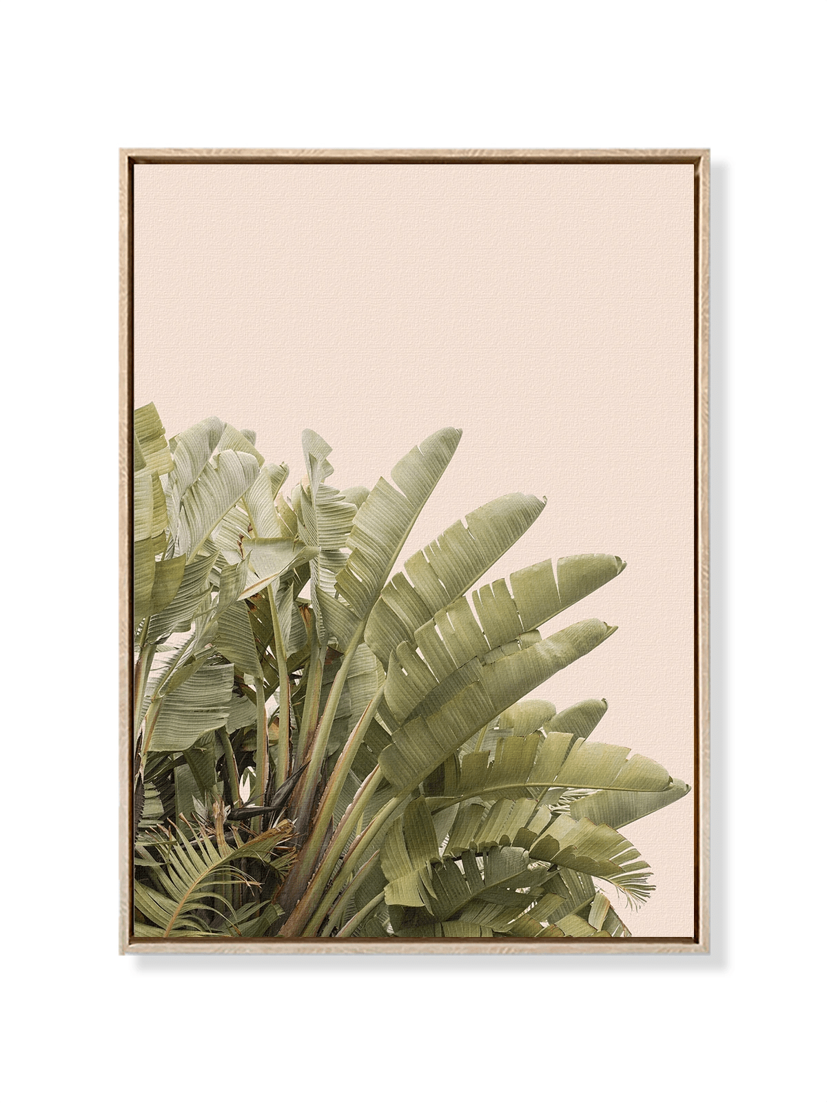 Tropical Leaves - Lámina de Henrike Schenk - Decora tu casa en Nomadart