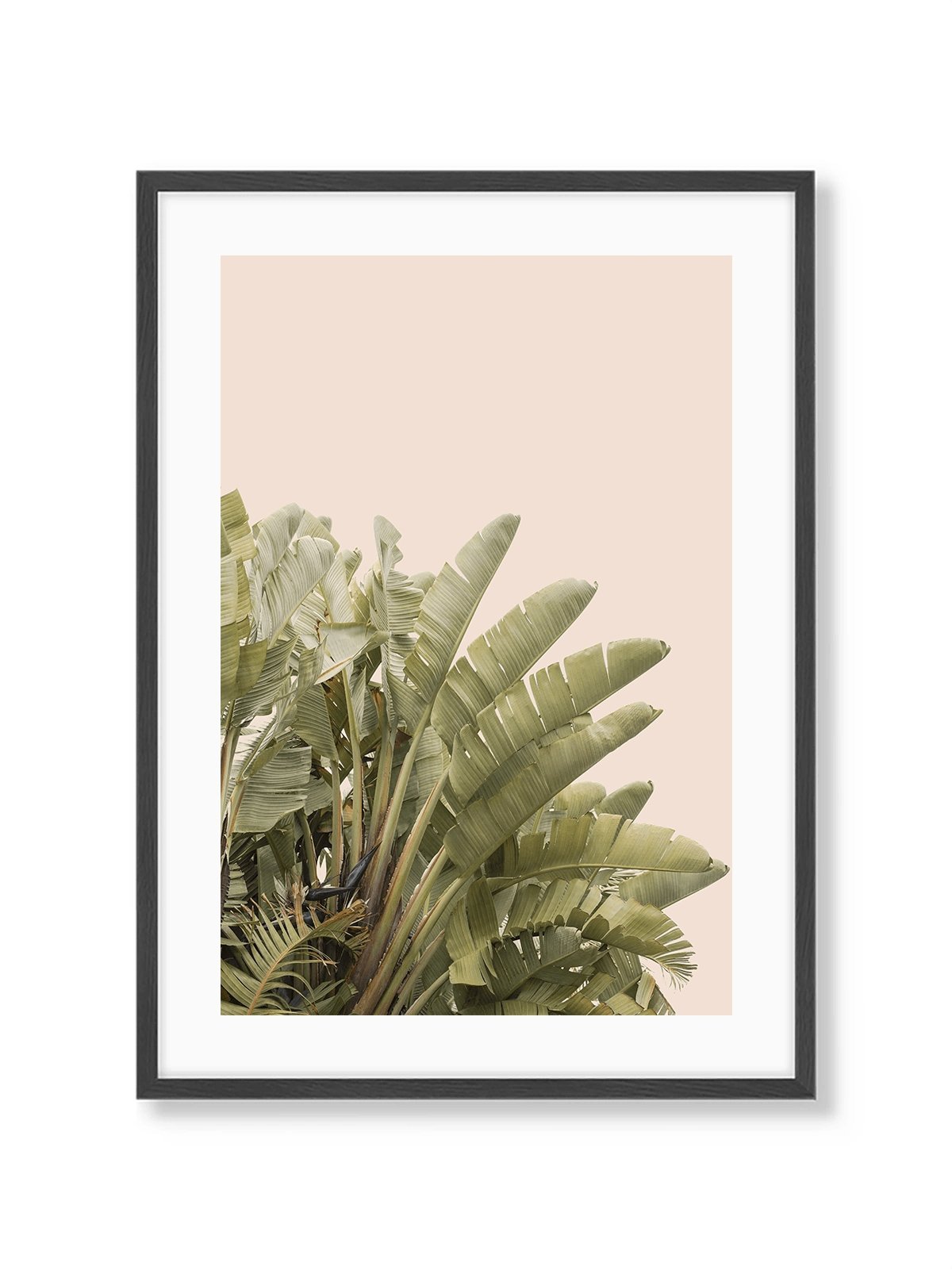 Tropical Leaves - Lámina de Henrike Schenk - Decora tu casa en Nomadart