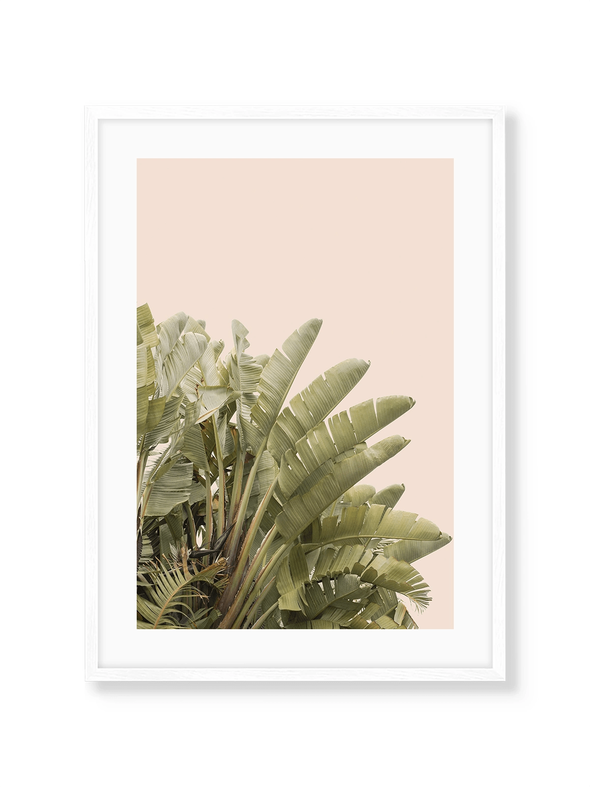 Tropical Leaves - Lámina de Henrike Schenk - Decora tu casa en Nomadart