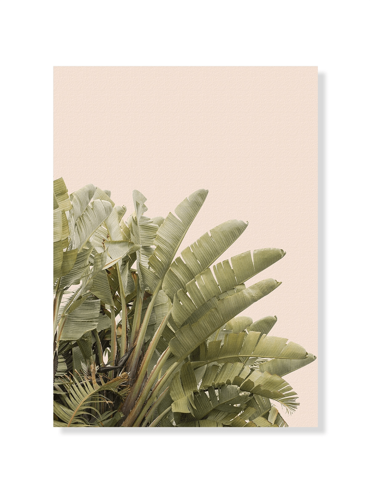 Tropical Leaves - Lámina de Henrike Schenk - Decora tu casa en Nomadart