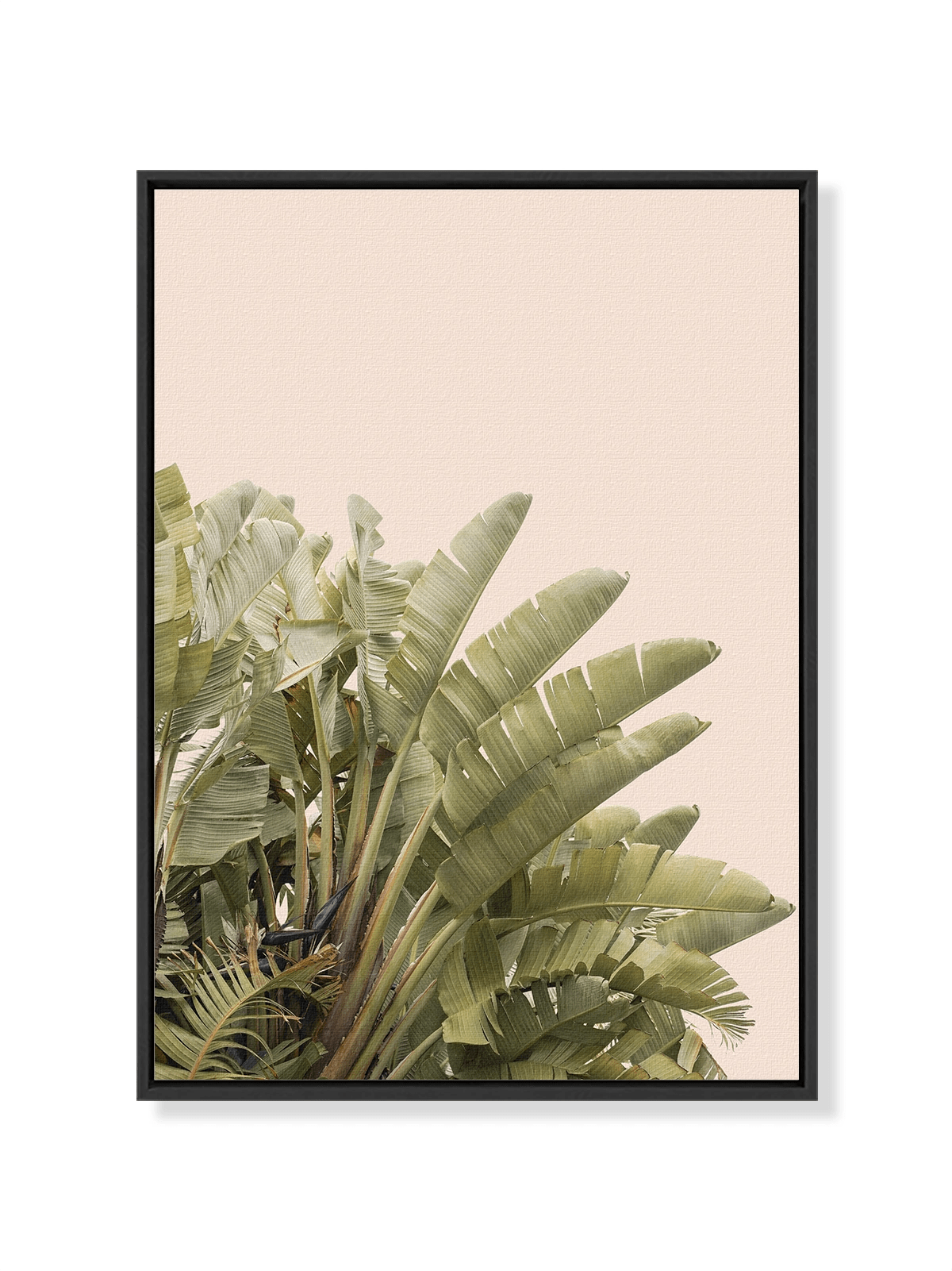 Tropical Leaves - Lámina de Henrike Schenk - Decora tu casa en Nomadart