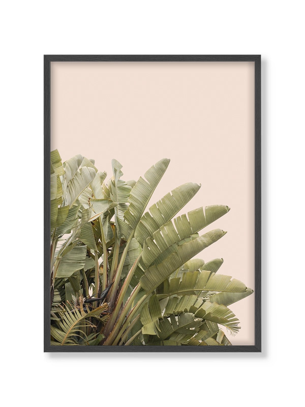 Tropical Leaves - Lámina de Henrike Schenk - Decora tu casa en Nomadart