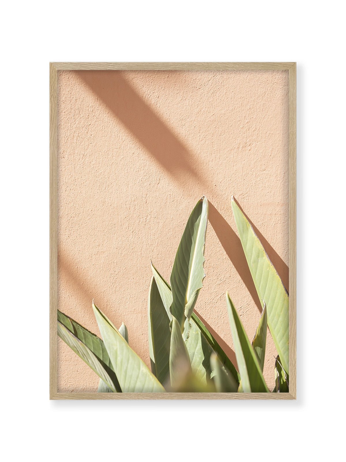 Tropical On Pastel - Lámina de Henrike Schenk - Decora tu casa en Nomadart