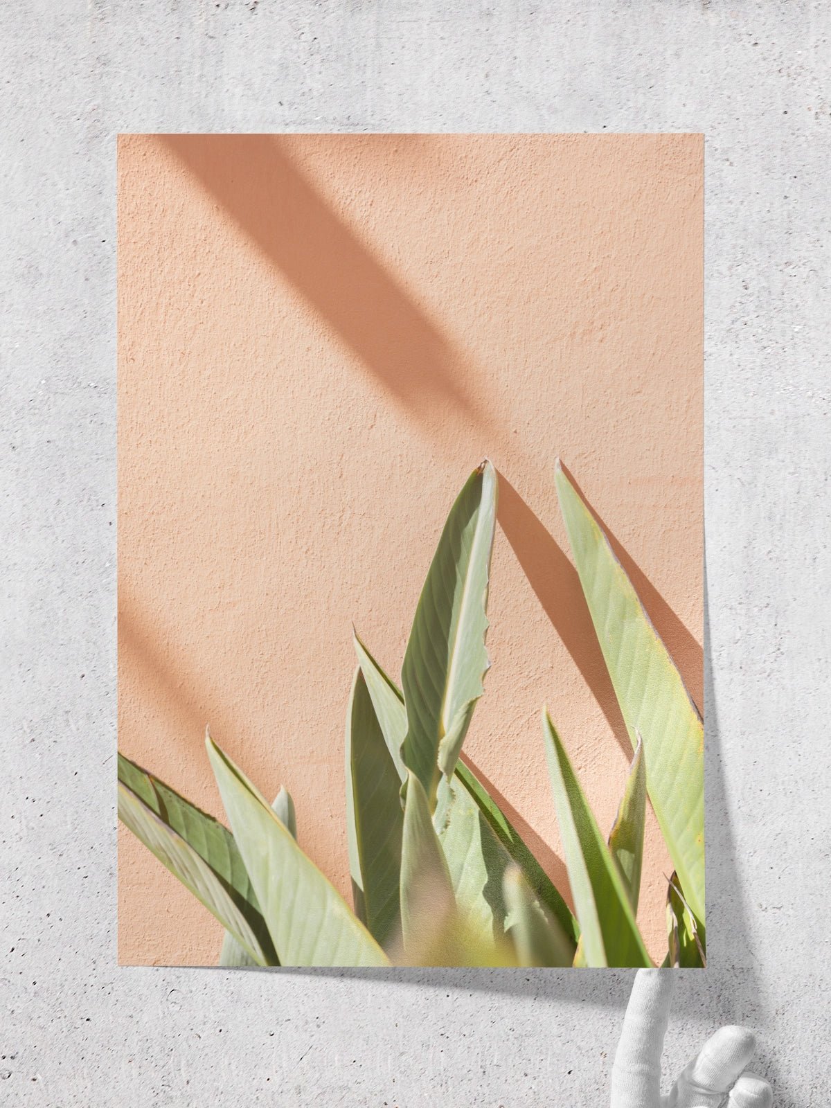 Tropical On Pastel - Lámina de Henrike Schenk - Decora tu casa en Nomadart