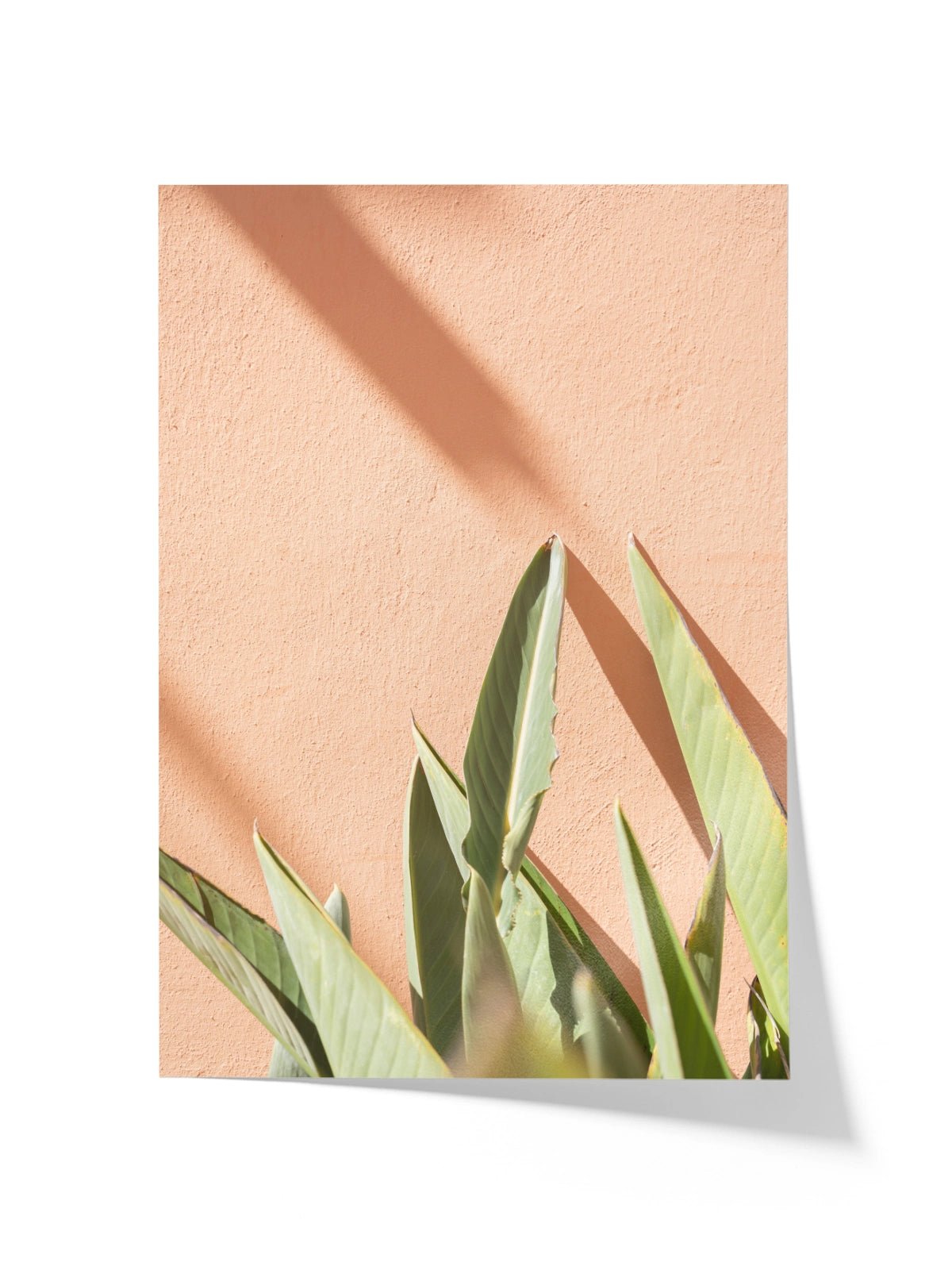Tropical On Pastel - Lámina de Henrike Schenk - Decora tu casa en Nomadart