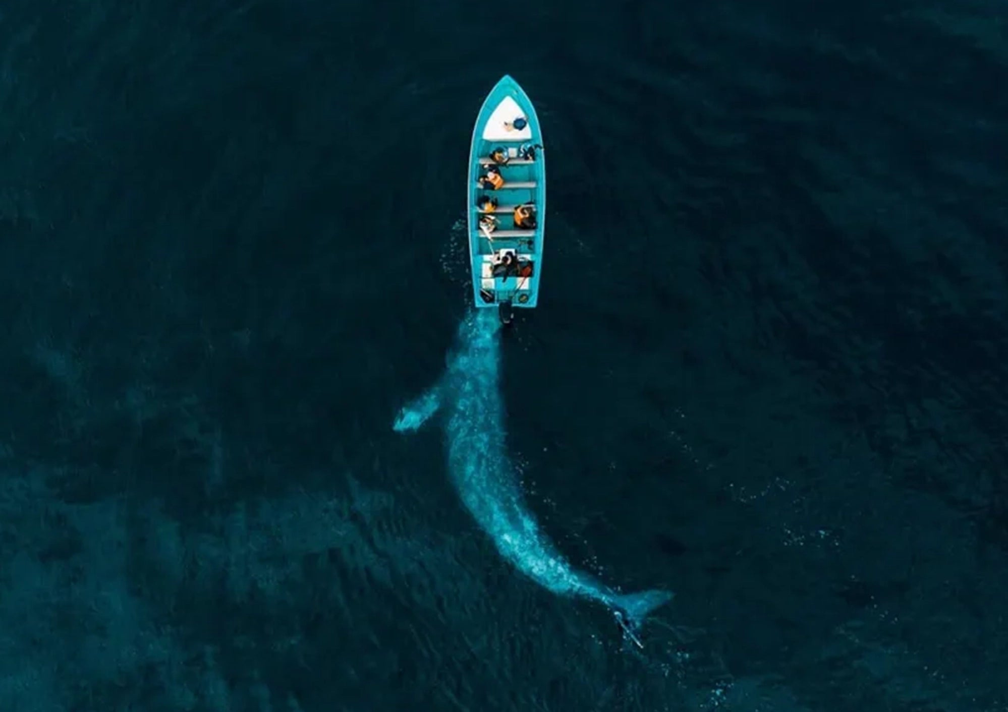 Las increíbles fotografías ganadoras del Drone Photo Award 2020