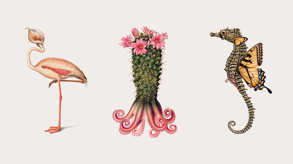 Tortugáguilas y flormencos: la zoología quimérica de Mark Brooks - Nomadart