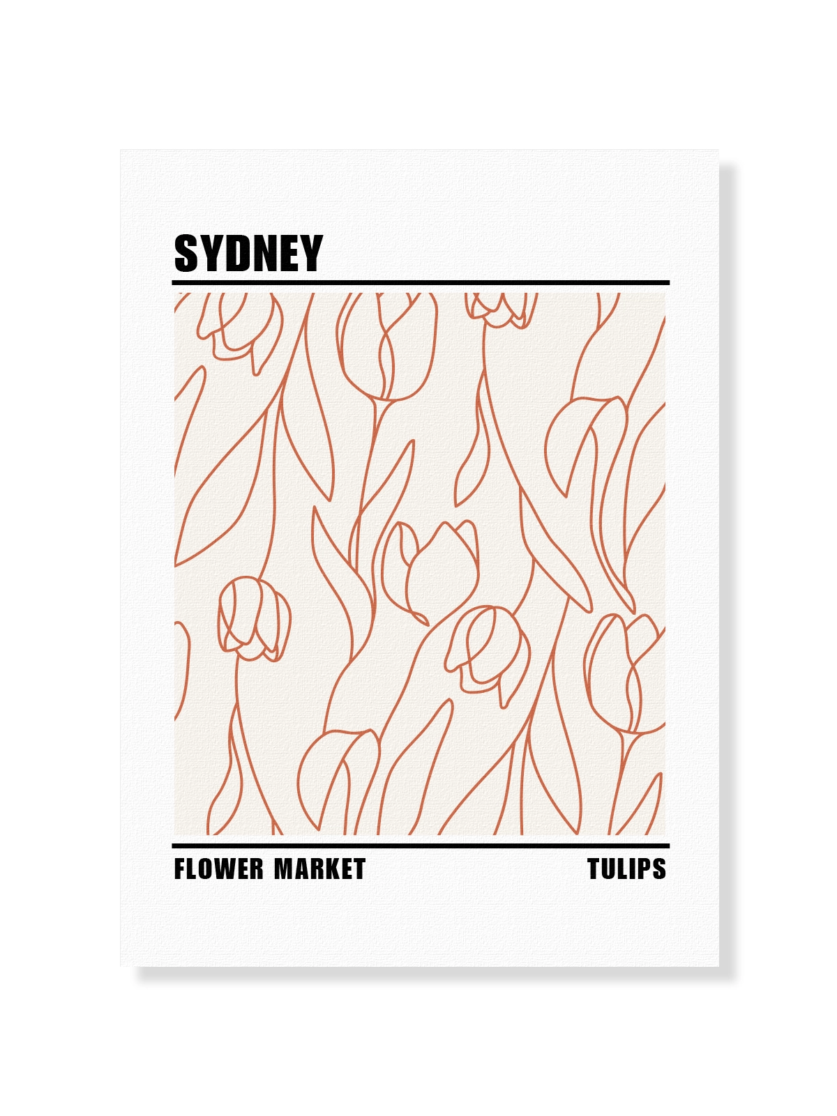 Sydney Tulips Flower Market