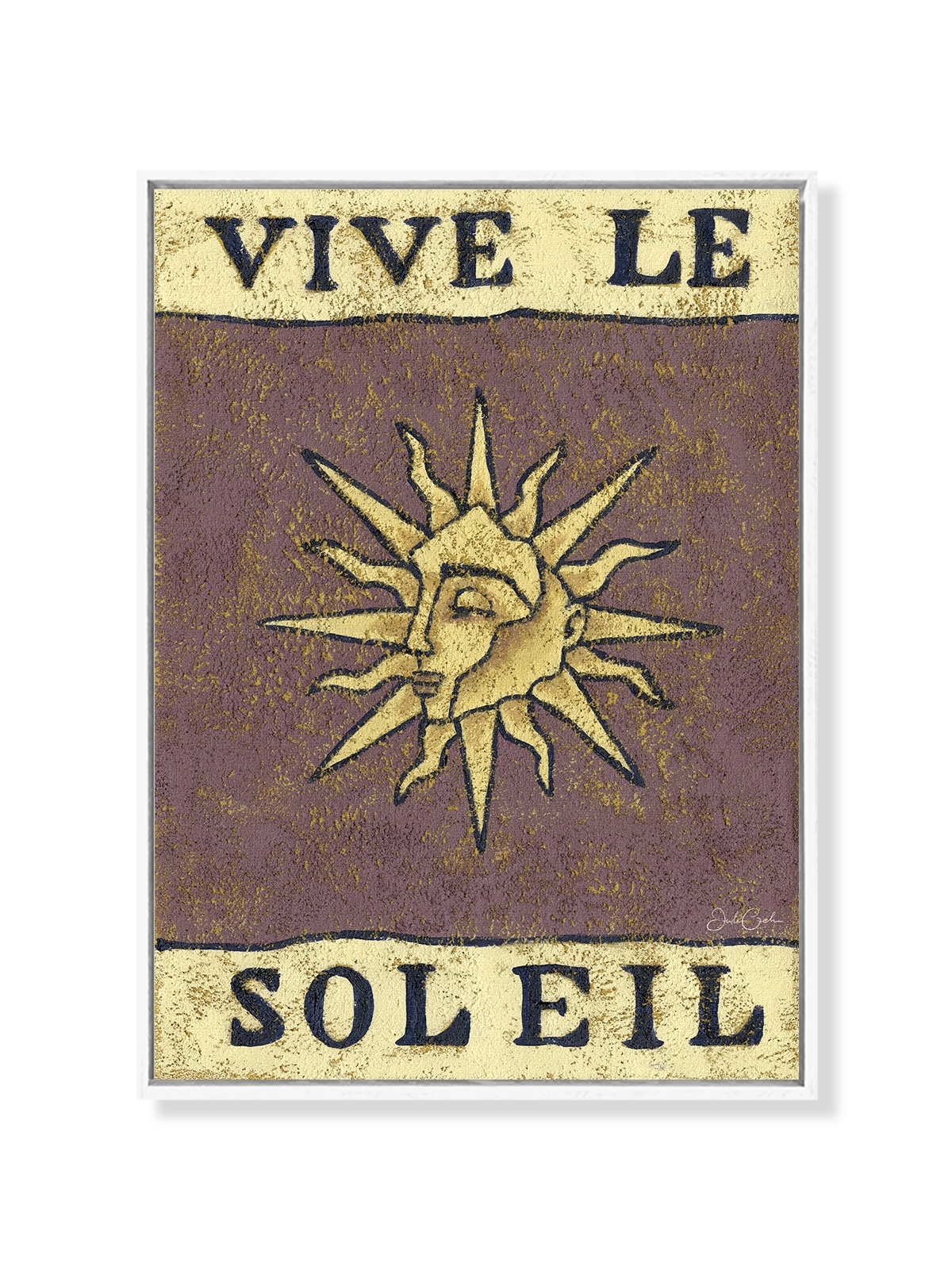 Viva Le Soleil