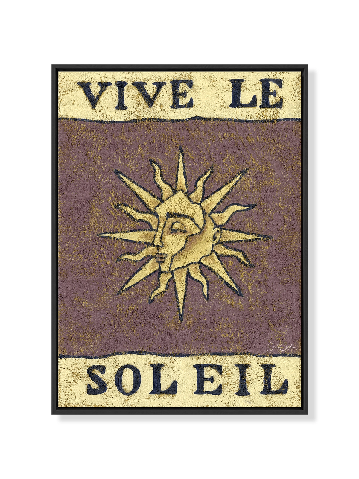 Viva Le Soleil