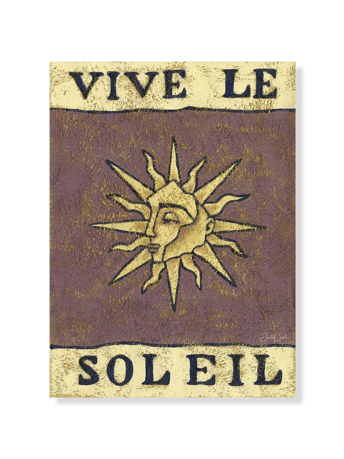 Viva Le Soleil