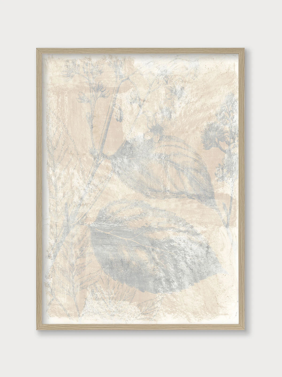 Woodsia I