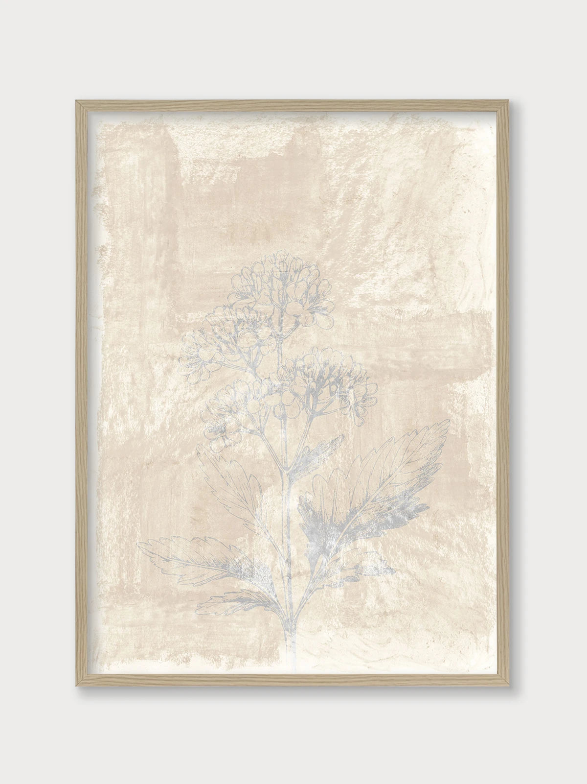 Woodsia III