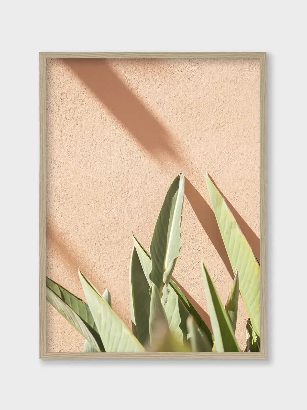 Tropical On Pastel - Nomadart