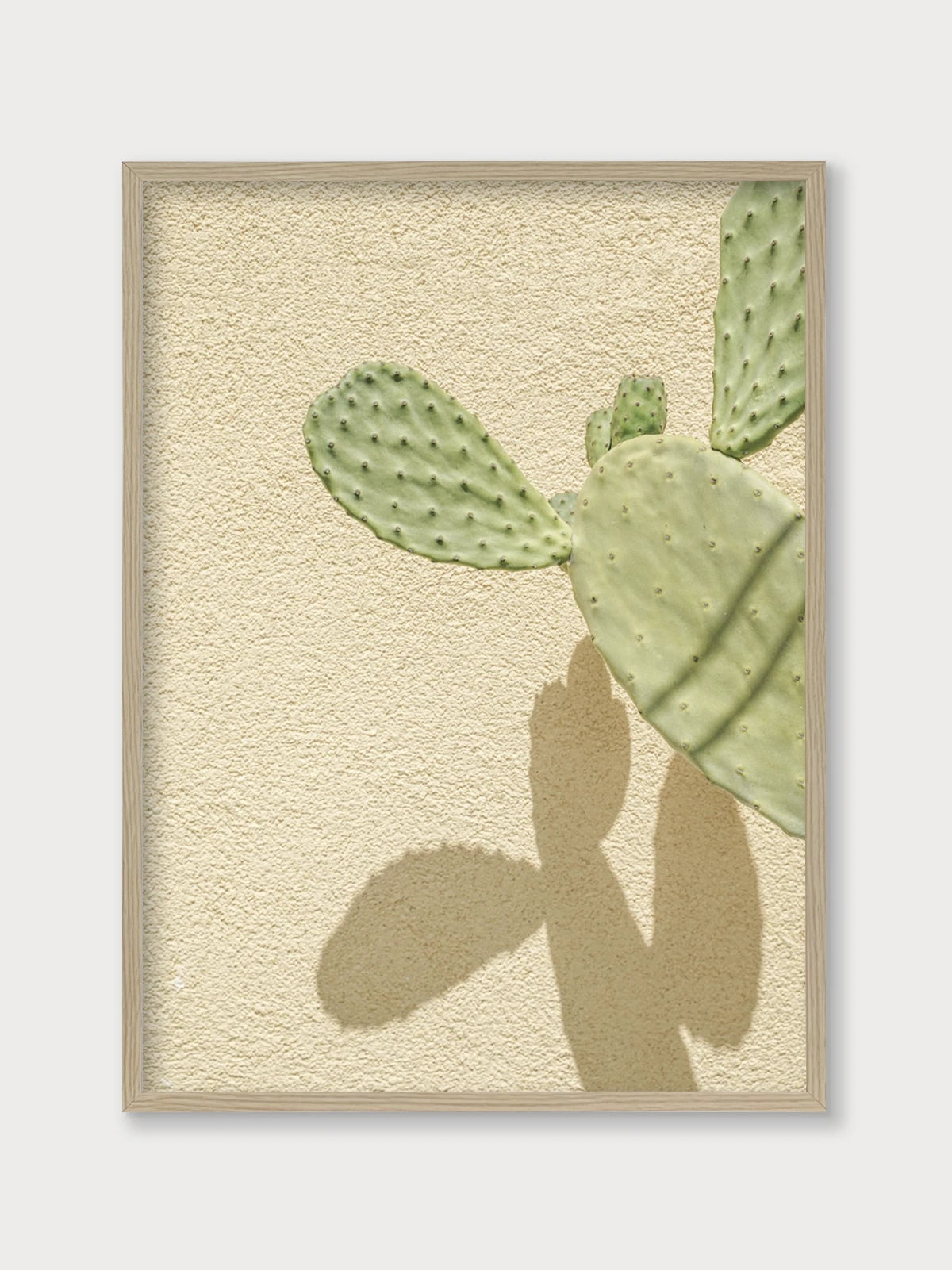 Cacti Shadowplay - Nomadart