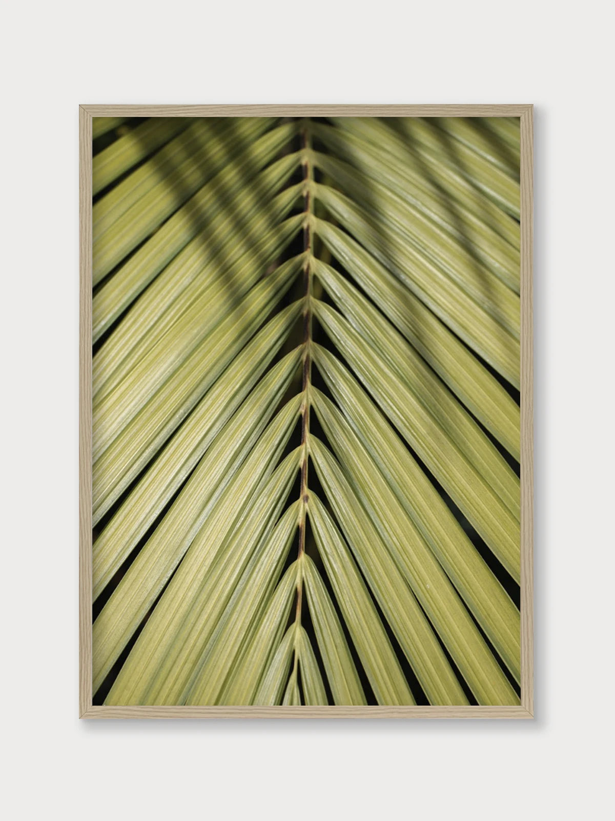 Tropical Green - Nomadart