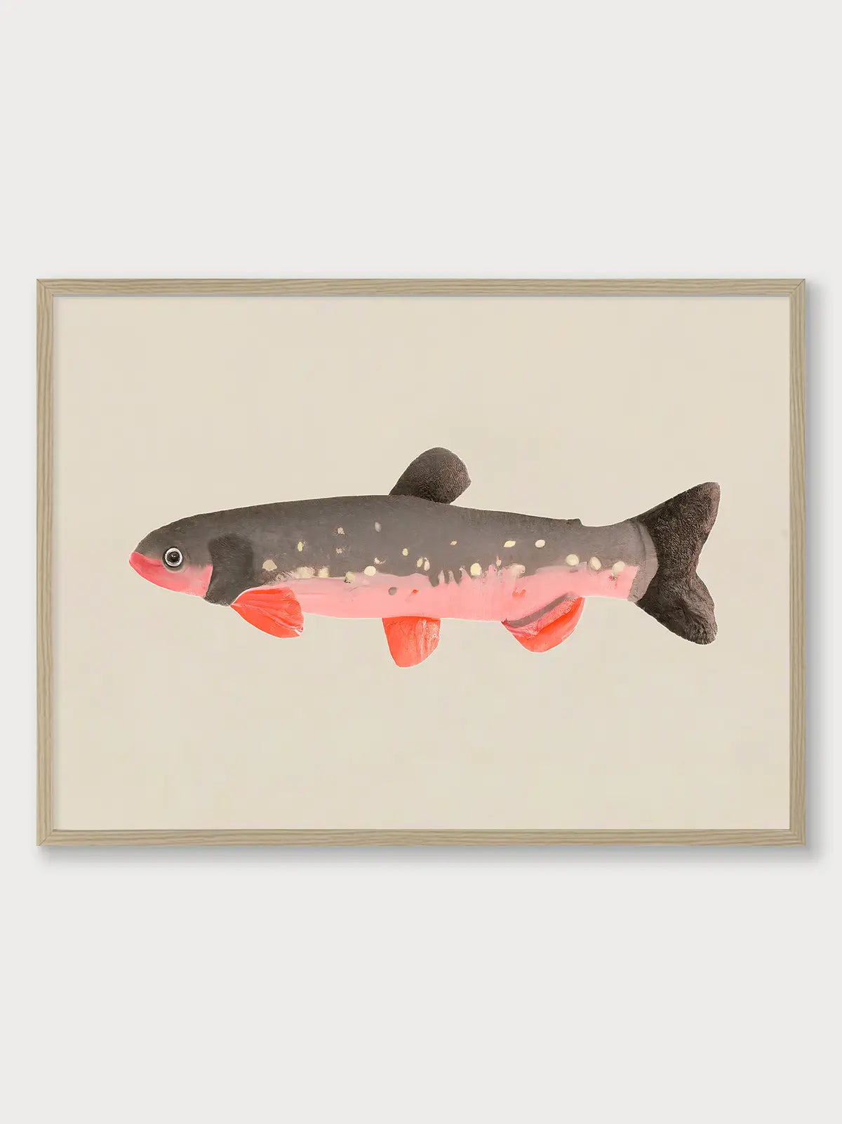 Still Fishy
