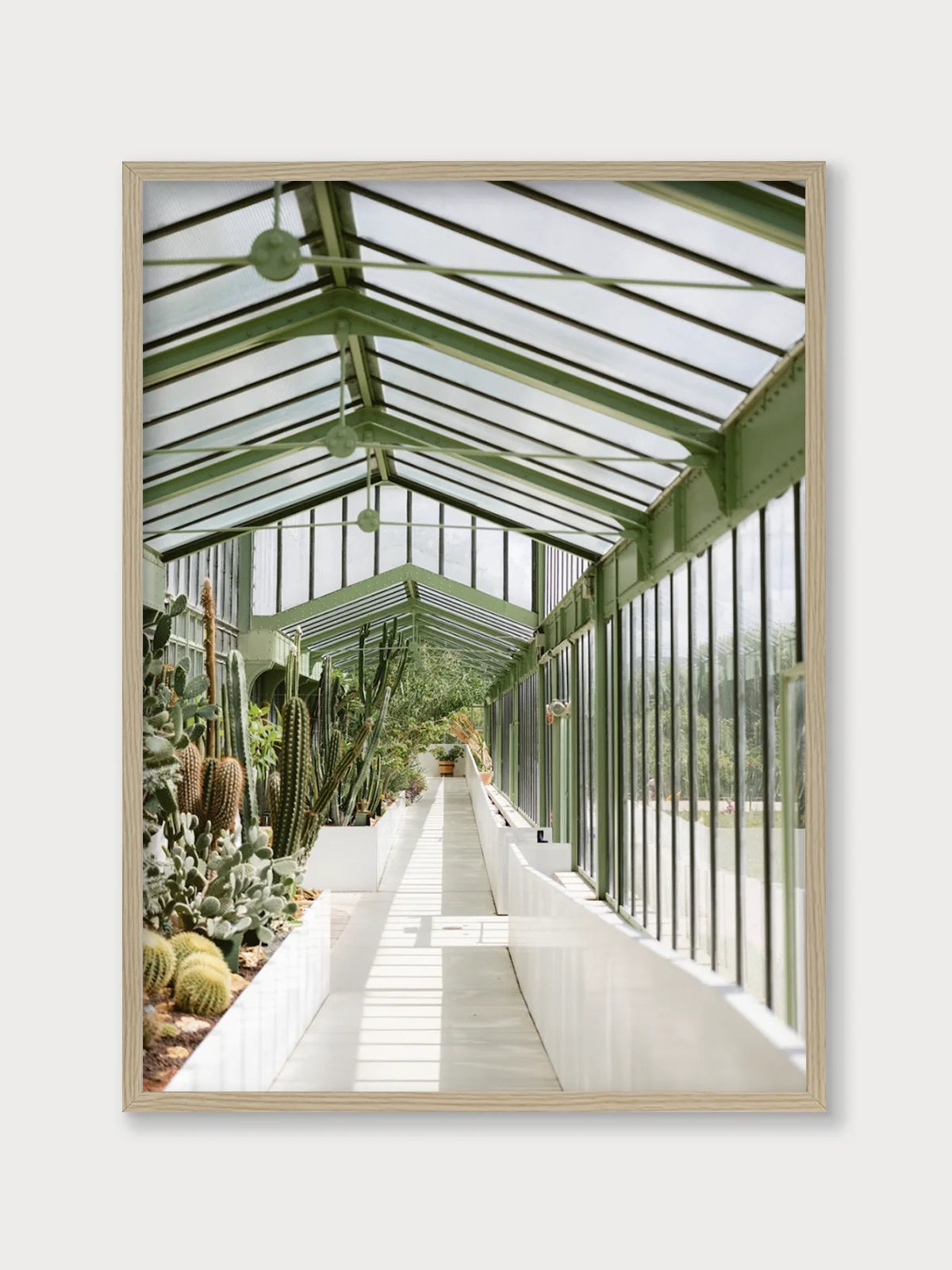 Botanical Garden of Paris I