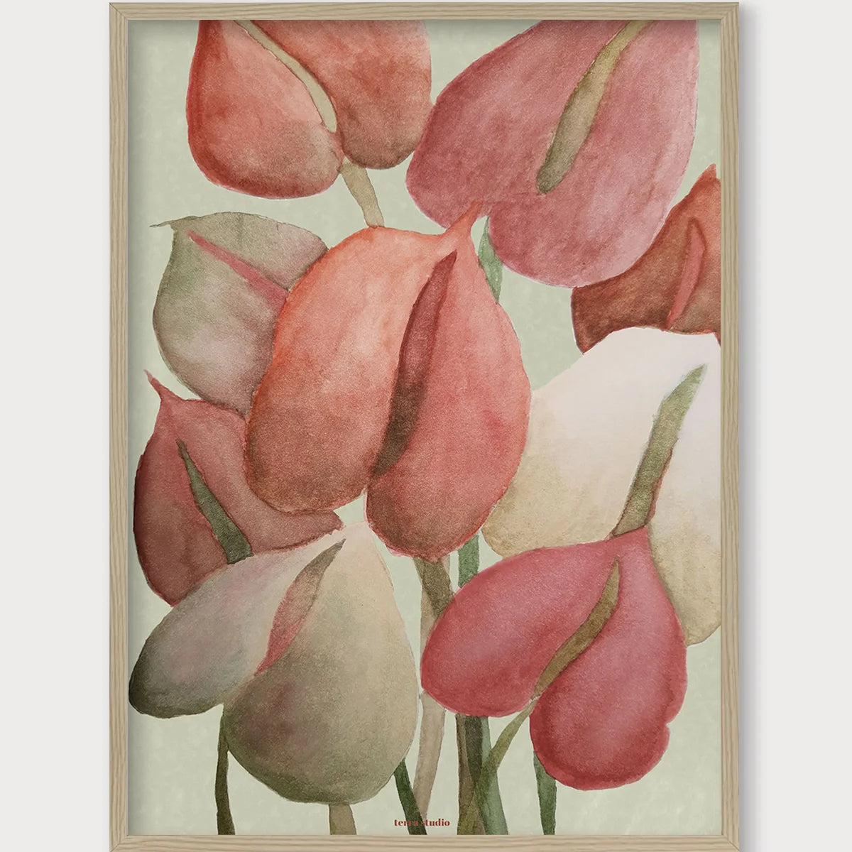 anthurium terra Anthurium - A Print by Terra Studio