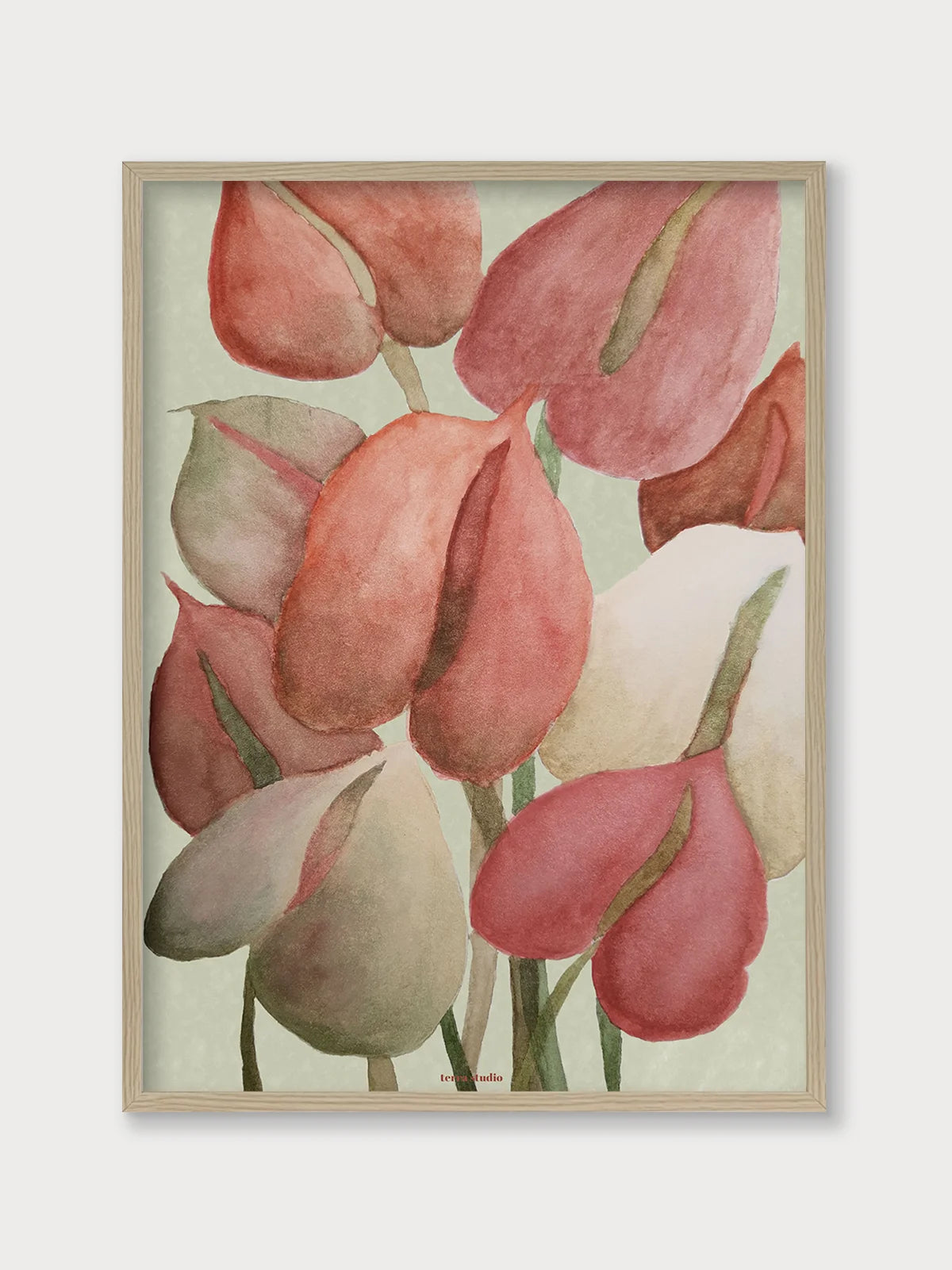 Anthurium