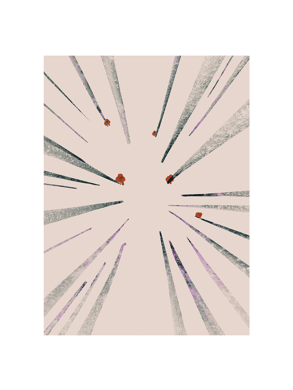 Sneak Peekers
