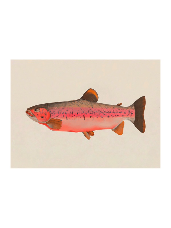 Fishy