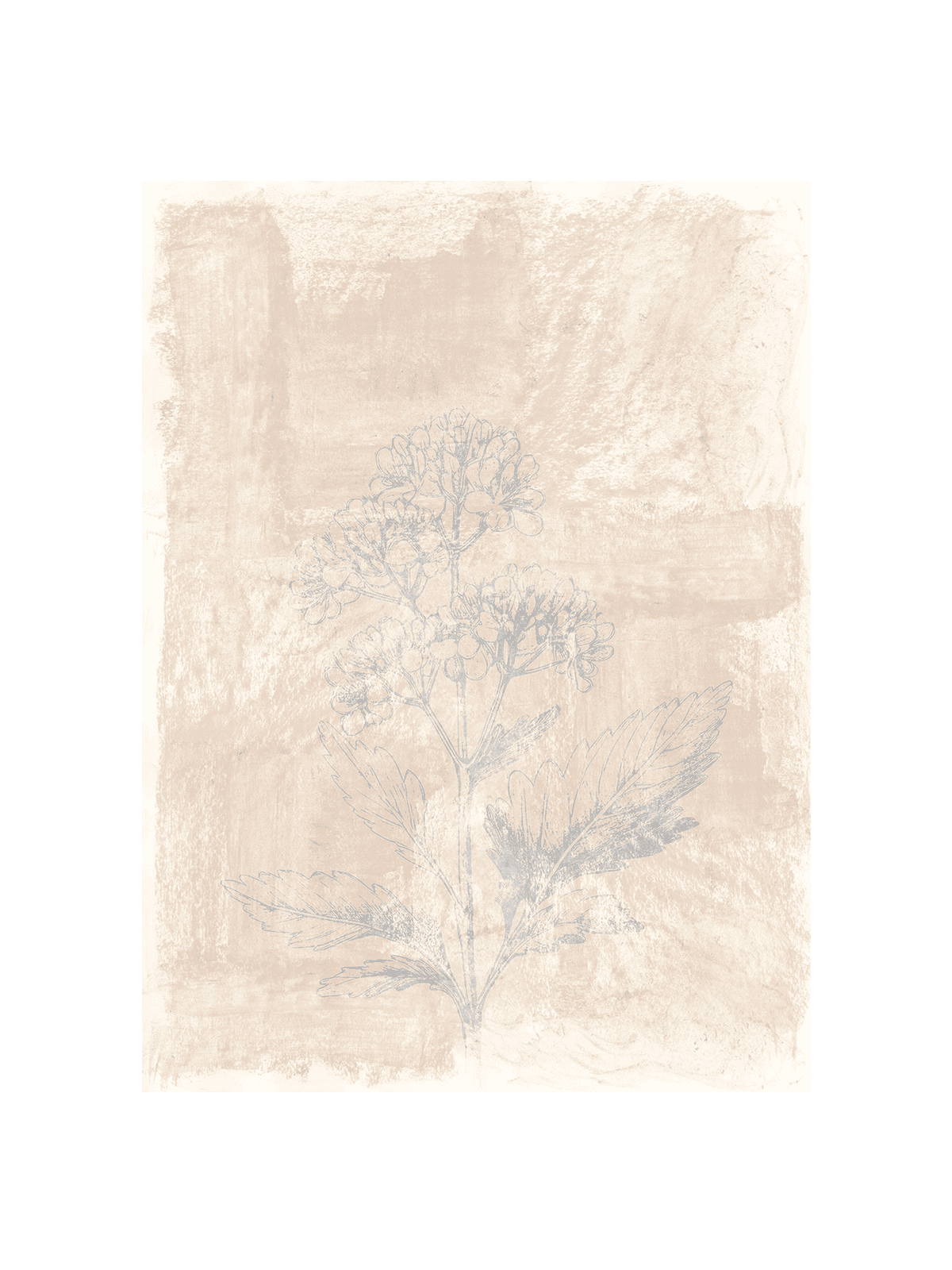 Woodsia III