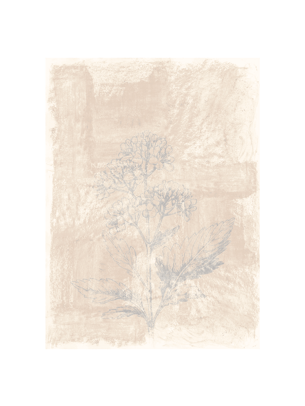 Woodsia III