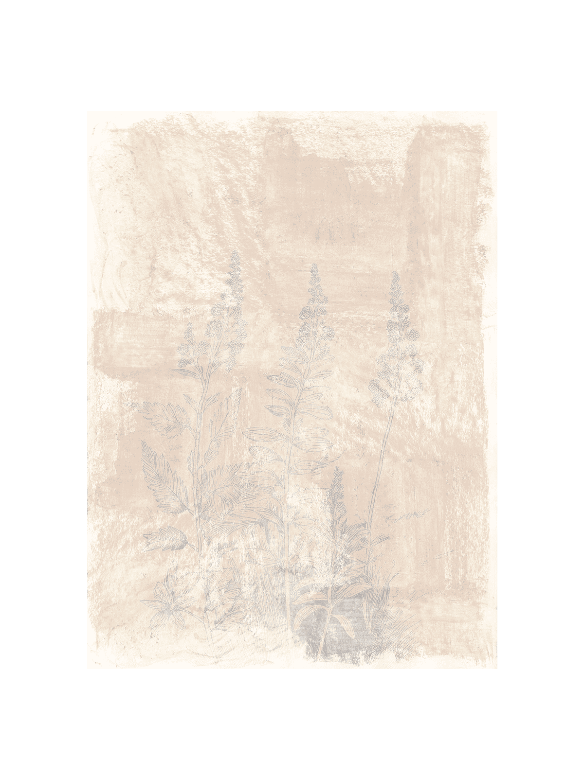 Woodsia II