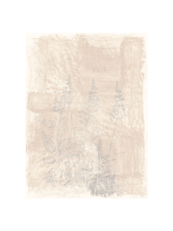 Woodsia II