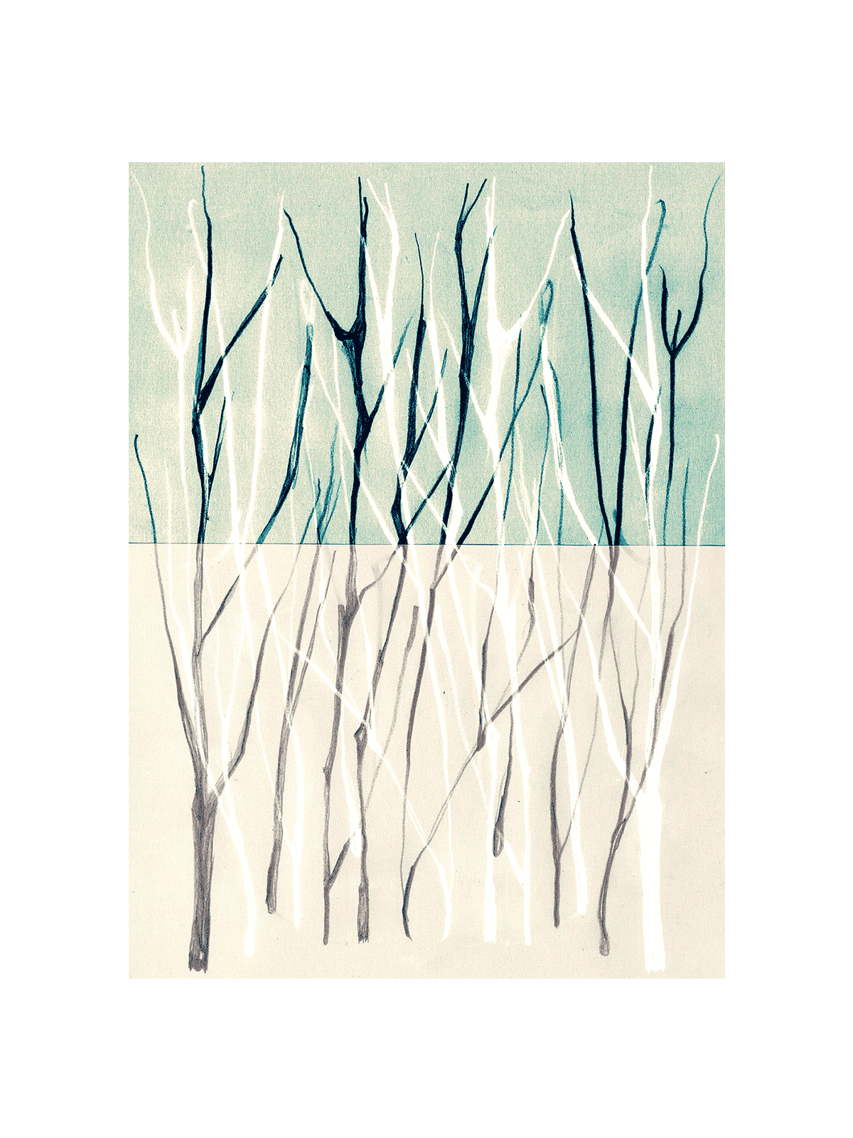 Forest Patch