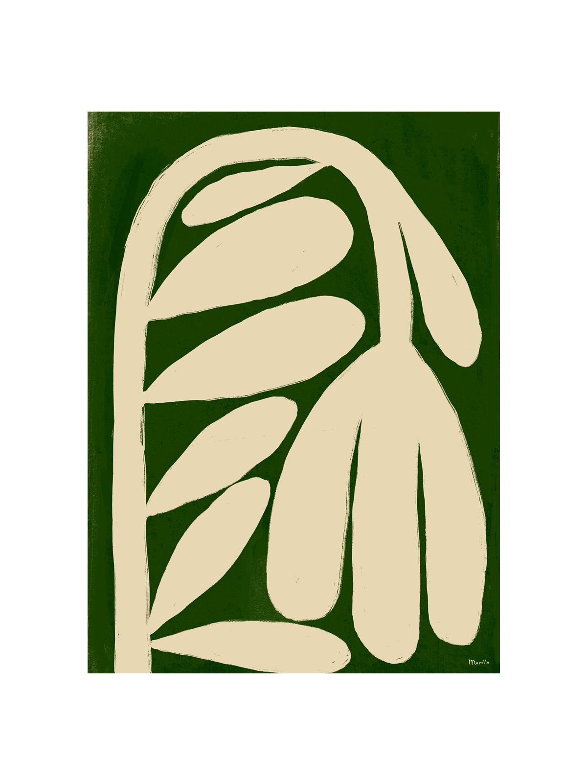 Tulipano