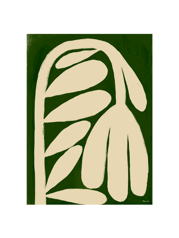 Tulipano