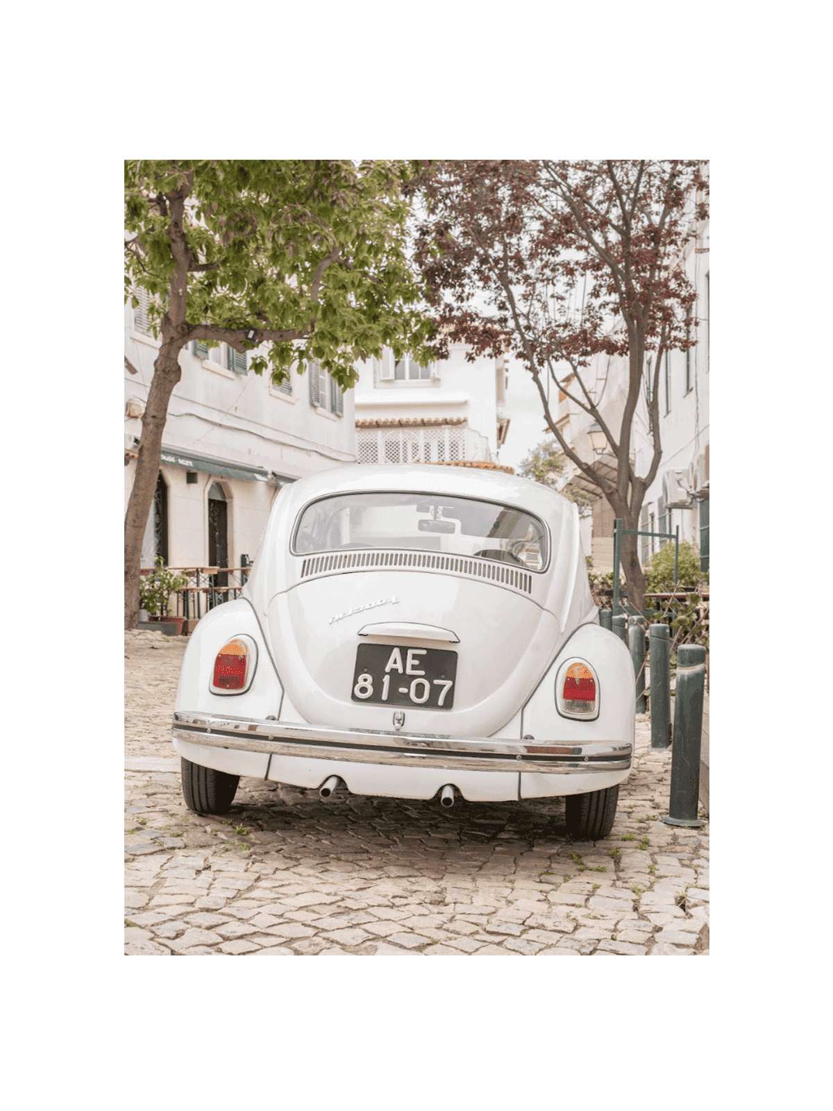 The Oldtimer
