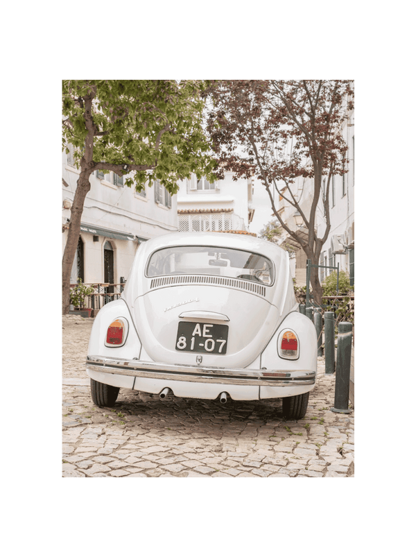 The Oldtimer