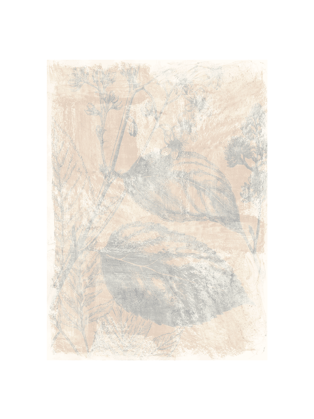 Woodsia I