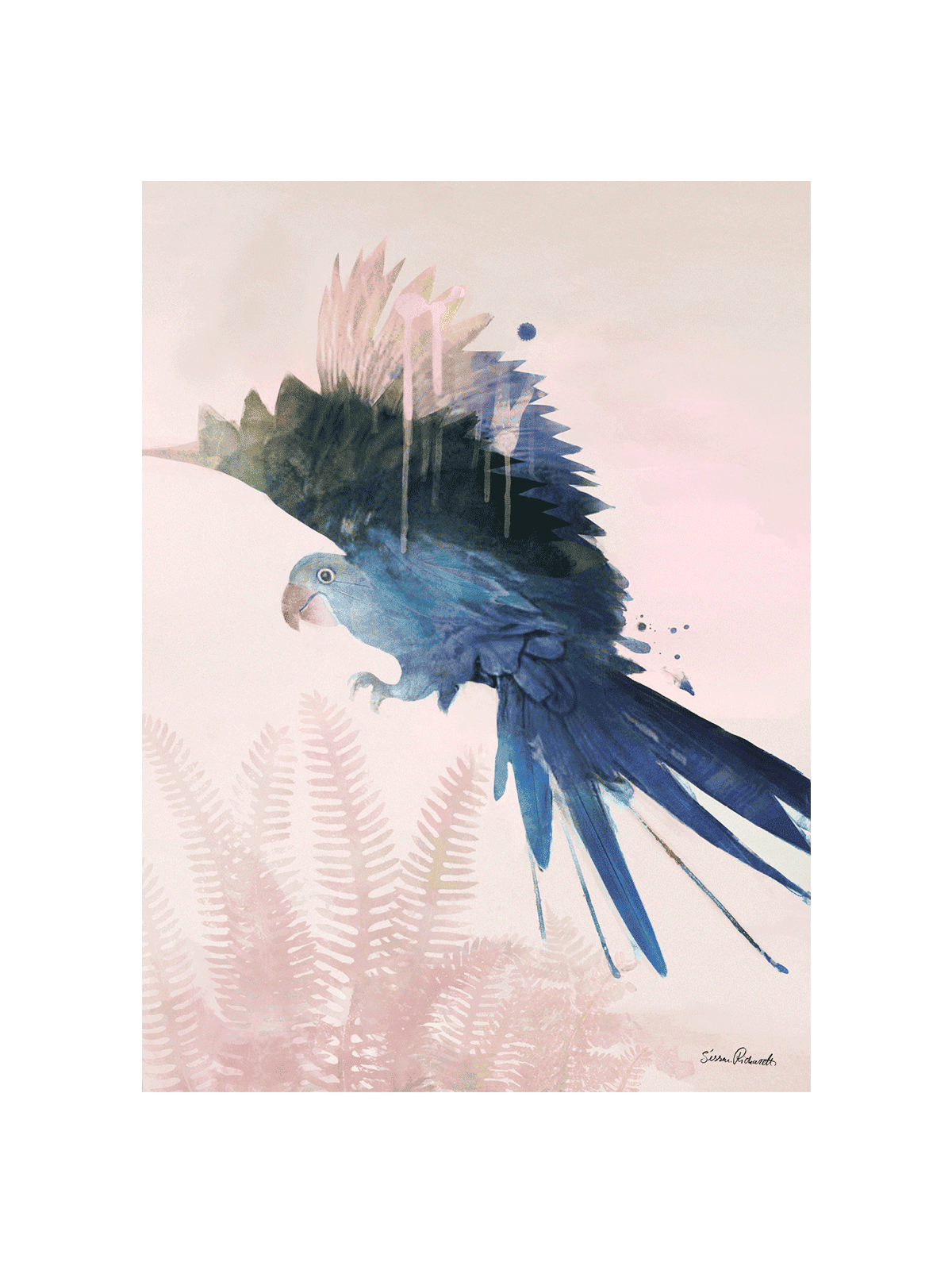 Blue Parrot