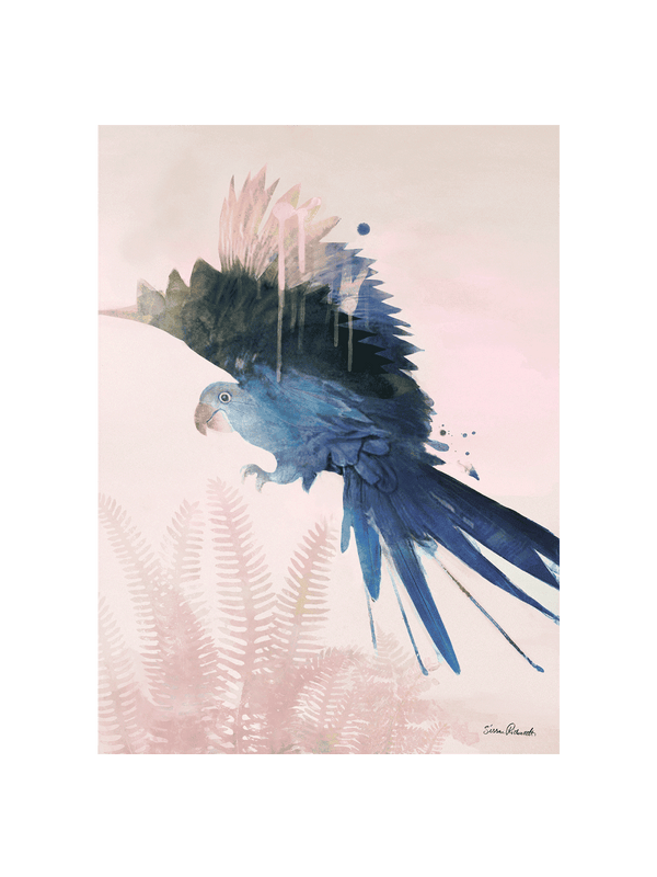 Blue Parrot