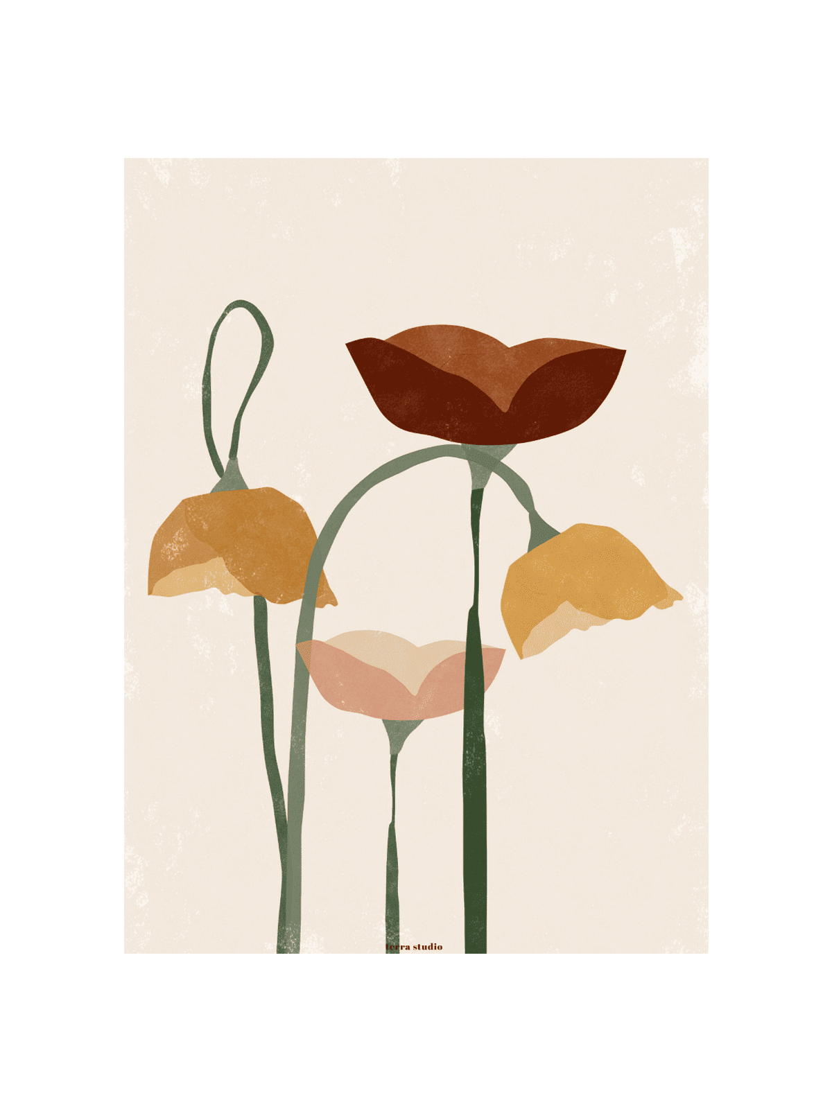 Poppies
