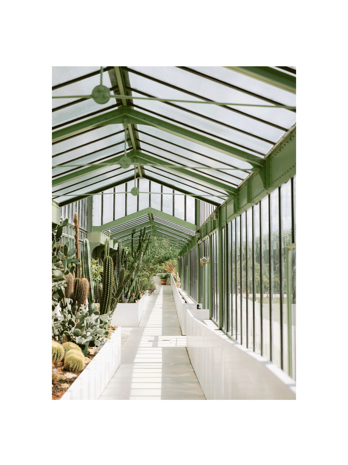 Botanical Garden of Paris I