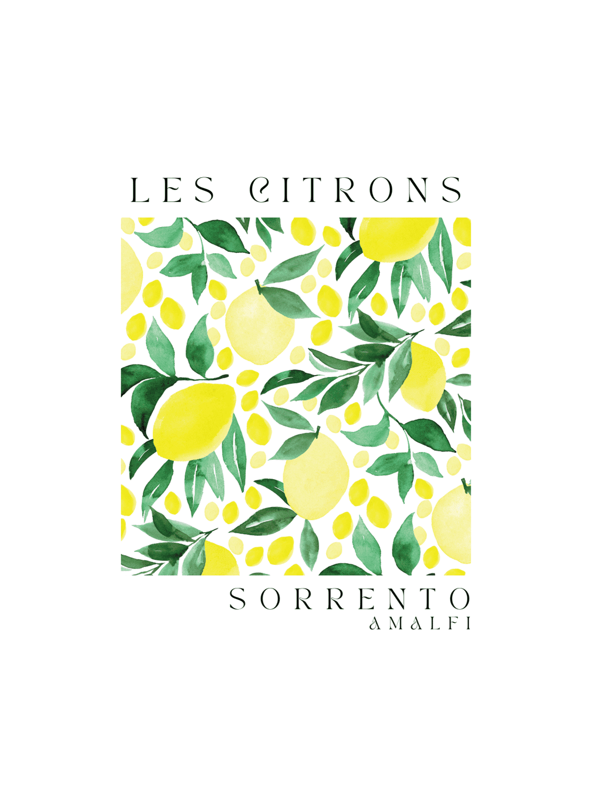 Les Citrons Sorrento Amalfi