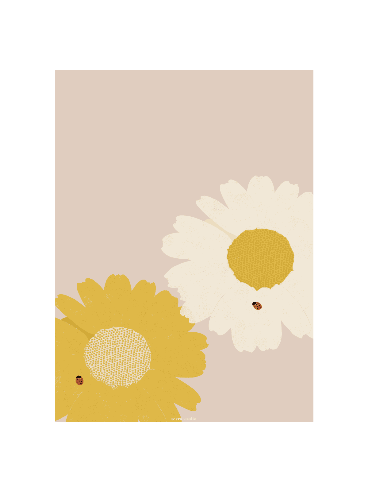 Ladybugs