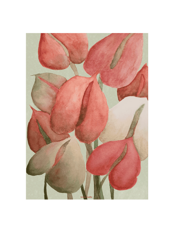 Anthurium