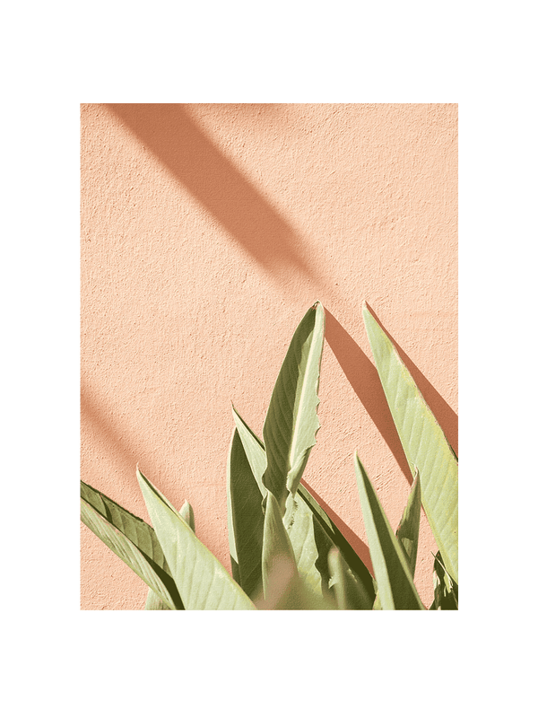 Tropical On Pastel